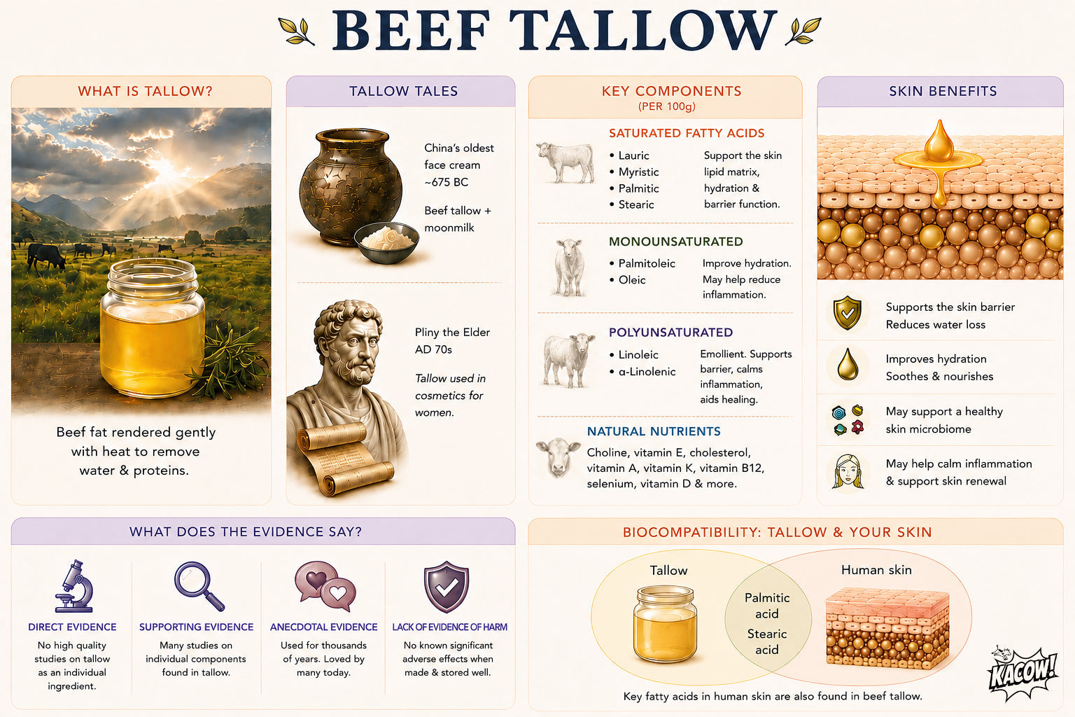 4) INGREDIENTS - beef tallow